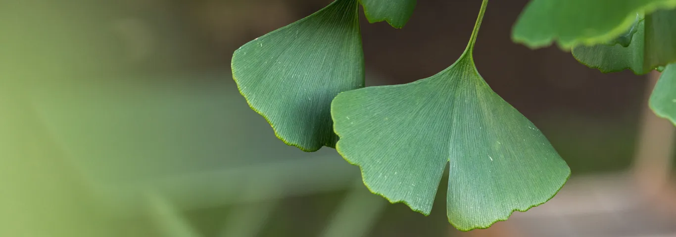 image card landing page